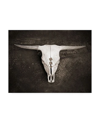 Brooke T. Ryan Sepia Cattle Skull Canvas Art - 27" x 33.5"