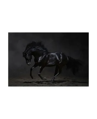 PhotoINC Studio Onyx Horse Canvas Art