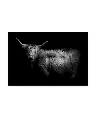 PhotoINC Studio Hello Highland Cow Canvas Art