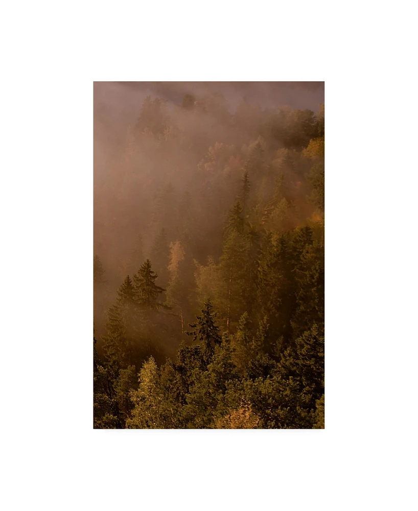 PhotoINC Studio Autumn Forest Green Canvas Art - 27" x 33.5"