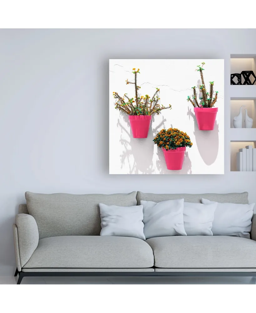 Philippe Hugonnard Made in Spain 3 Pink Pots Wall Canvas Art