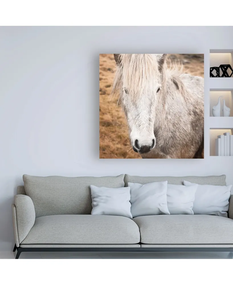 Laura Marshall Heida Iv Canvas Art