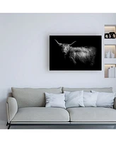 PhotoINC Studio Hello Highland Cow Canvas Art