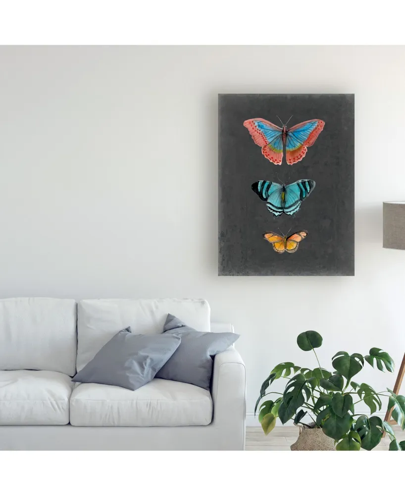 Naomi Mccavitt Butterflies on Slate Iii Canvas Art