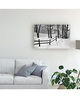 Monte Nagler Snow Scenes Canvas Art - 20" x 25"