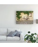 Monte Nagler Bicycle Turckheim France Color Canvas Art - 37" x 49"