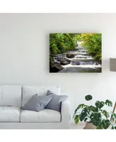 Monte Nagler Terraced Falls Canvas Art