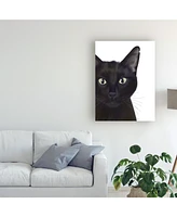 Fab Funky Cat, Portrait of Gus Canvas Art - 27" x 33.5"