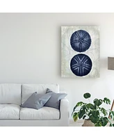 Fab Funky Indigo Blue Sea Urchins a Canvas Art - 27" x 33.5"