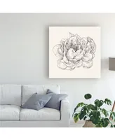 Danhui Nai Pen and Ink Florals V Canvas Art - 19.5" x 26"