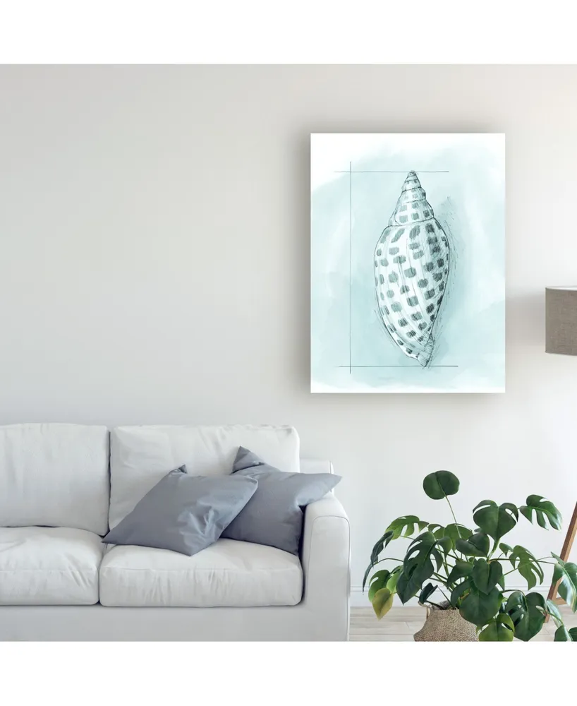 Megan Meagher Coastal Shell Schematic Iv Canvas Art