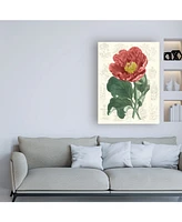 Vision Studio Peony Flower Garden I Canvas Art - 27" x 33.5"