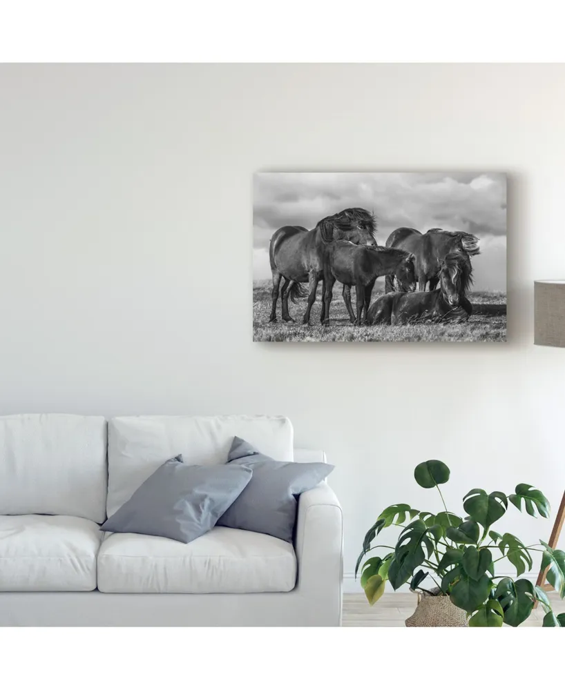 Bragi Ingibergsson Happy Family Horses Canvas Art