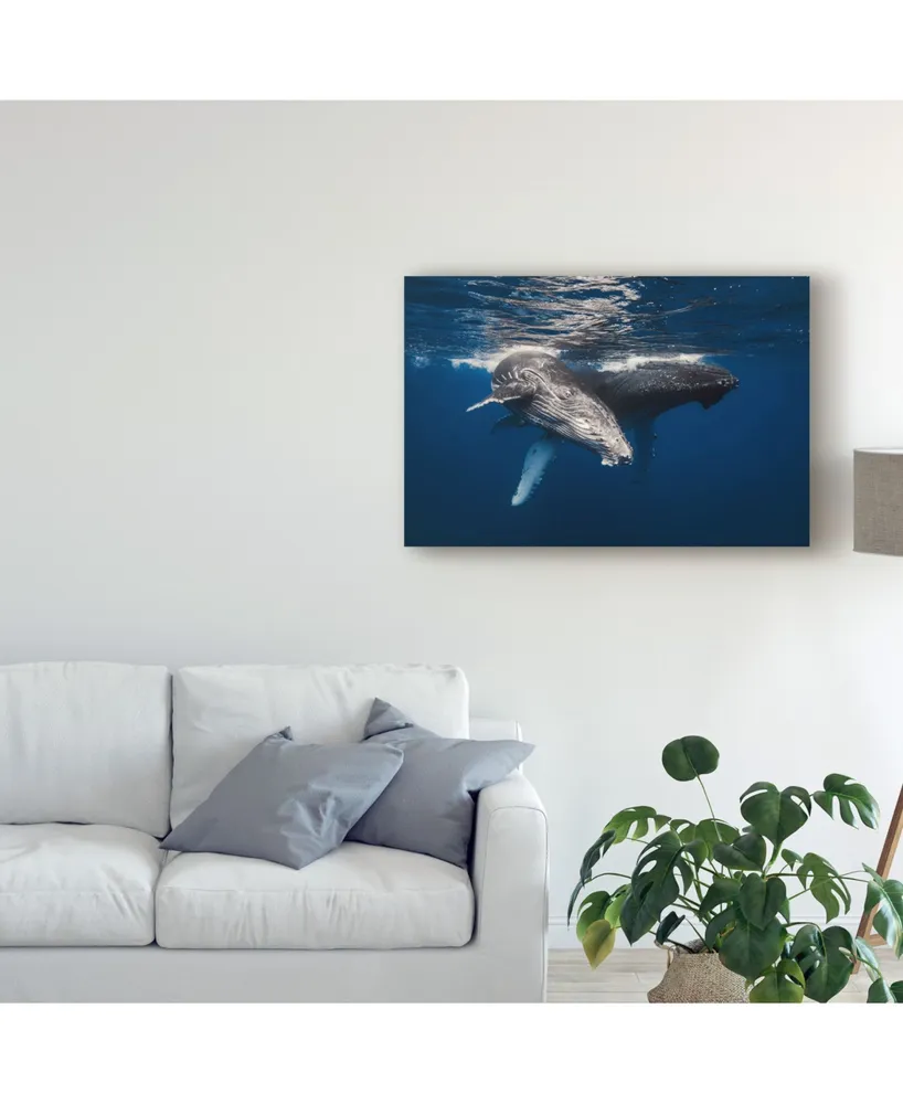 Barathieu Gabriel Humpback Whale Family Canvas Art