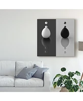 Antonyus Bunjamin Yin Yang Eggs Canvas Art - 20" x 25"