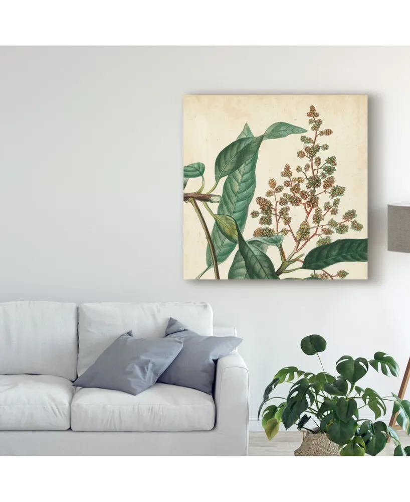 Vision Studio Garden Bounty Ii Canvas Art