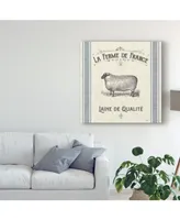 Pela Studio French Farmhouse V Canvas Art