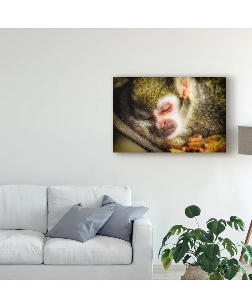 Pixie Pics Sleeping Monkey Canvas Art - 15" x 20"