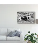 Tyler Stockton B&W Longhorn I Canvas Art - 20" x 25"