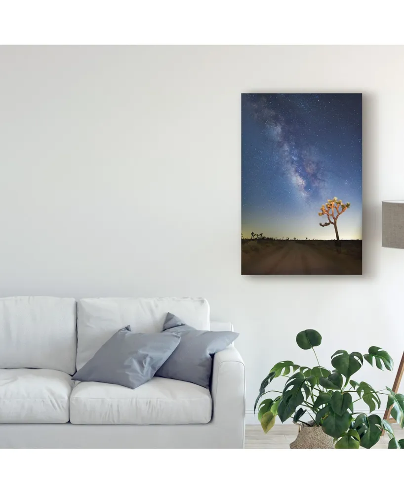 American School Joshua Tree Milkyway Canvas Art - 37" x 49"