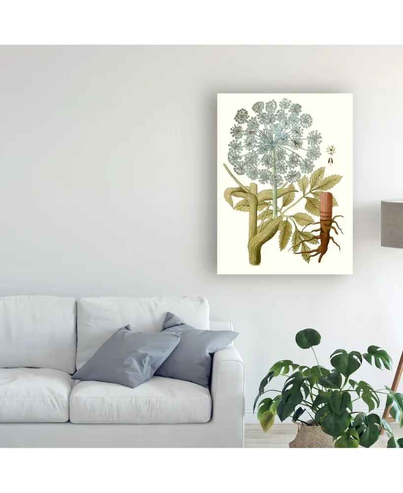 Unknown Lacy Leaves Iii Canvas Art