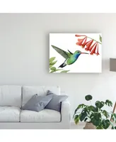 Grace Popp Hummingbird and Flower Ii Canvas Art