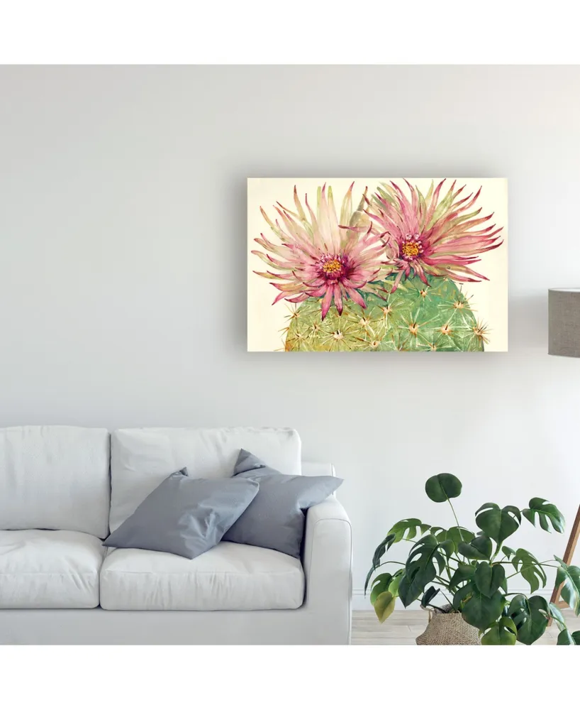 Tim Otoole Cactus Blossoms I Canvas Art