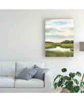 Naomi Mccavitt Marsh Landscapes Ii Canvas Art - 15" x 20"