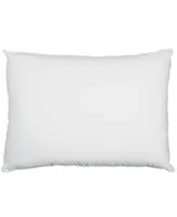 Sealy 100% Cotton Firm Support Standard/Queen Pillow 2 Pack
