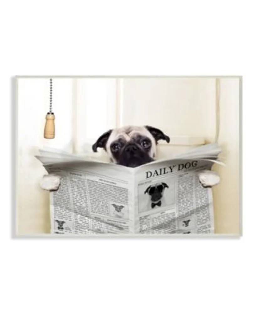 Stupell Industries Pug Reading Newspaper In Bathroom Art Collection