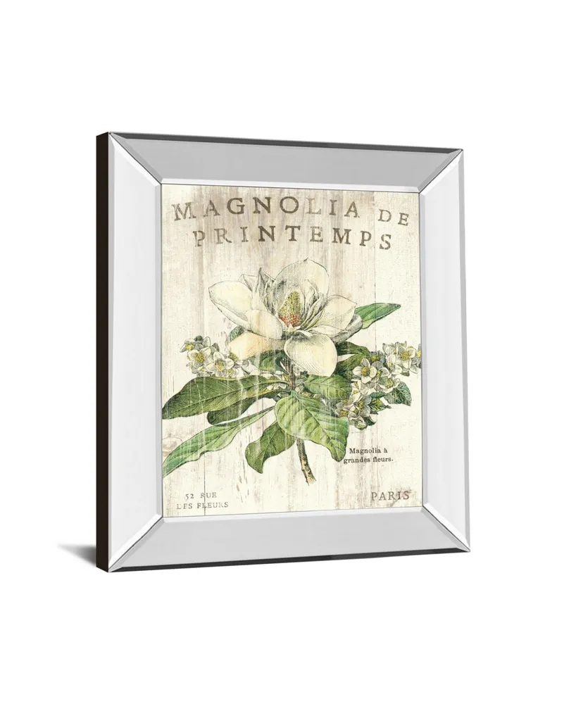 Classy Art Magnolia De Printemps by Sue Schlabach Mirror Framed Print Wall Art - 22" x 26"