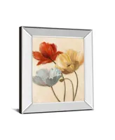 Classy Art Poppy Palette Il by Nan Mirror Framed Print Wall Art - 22" x 26"