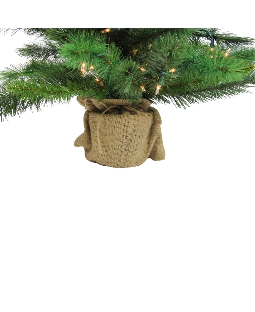 Northlight 36" New Carolina Spruce Artificial Christmas Tree in Burlap Base - Clear Lights