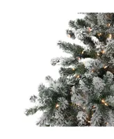 Northlight 6.5' Pre-Lit Flocked Natural Emerald Artificial Christmas Tree - Clear Lights