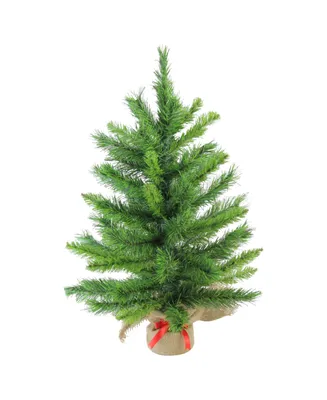 Northlight 24" Mixed Kateson Fir Artificial Christmas Tree in Burlap Base - Unlit