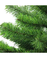 Northlight 4' Colorado Spruce Artificial Christmas Tree - Unlit