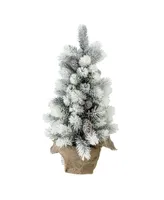 Northlight 19" Flocked Mini Pine Artificial Christmas Tree in Burlap Base - Unlit