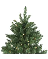 Northlight 6.5' Pre-Lit Led Instant Connect Neola Fraser Fir Artificial Christmas Tree - Dual Lights