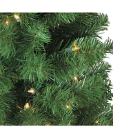 Northlight 4' Pre-Lit Noble Pine Artificial Christmas Tree- Clear Lights