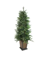 Northlight 6' Pre-Lit Potted Oregon Noble Fir Artificial Christmas Tree - Warm White Led Lights