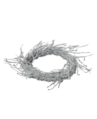 Northlight 24" Snow Flocked and Iridescent Glitter Twig Artificial Christmas Wreath - Unlit