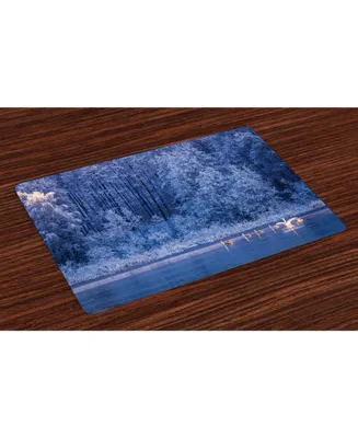 Ambesonne Winter Place Mats