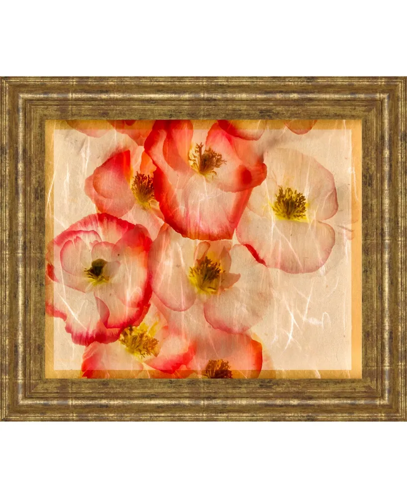 Classy Art Papaver Dreams Iii by Harold Davis Framed Print Wall Art, 22" x 26"