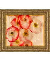 Classy Art Papaver Dreams Iii by Harold Davis Framed Print Wall Art, 22" x 26"