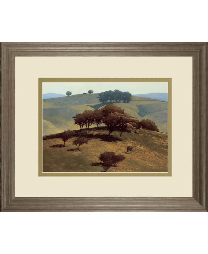 Classy Art Hills Near Chico by N. Bohne Framed Print Wall Art, 34" x 40"