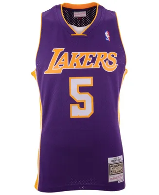 Mitchell & Ness Men's Robert Horry Los Angeles Lakers Hardwood Classic Swingman Jersey