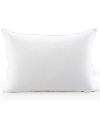 Cheer Collection Luxurious Gel-Fiber Filled 2-Pack Pillows