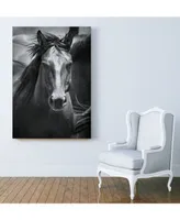 Giant Art 14" x 11" Stallion Iii Museum Mounted Canvas Print