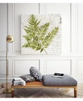 Giant Art Fern I Museum Mounted Canvas Print