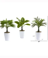 Nearly Natural 18in. Assorted Mini Palm and Banana Artificial Plant in White Planter Set of 3